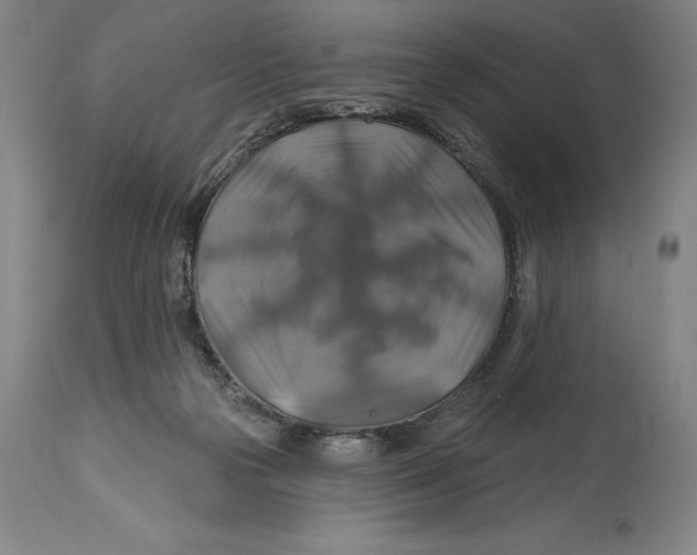 X0000114610169200911171043