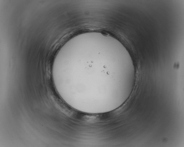 X0000114610170200911171043