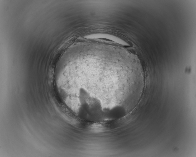 X0000114610171200911171043