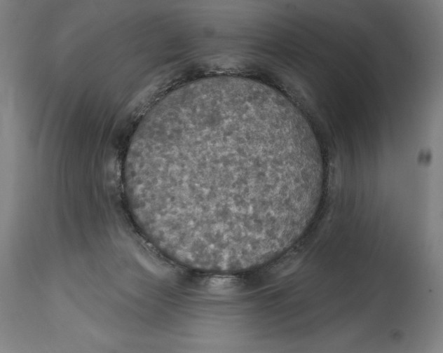 X0000114610173200911171043