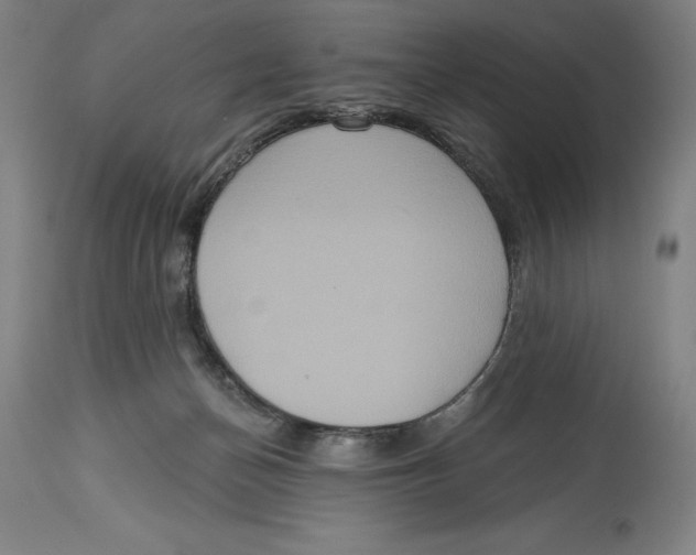 X0000114610174200911171043