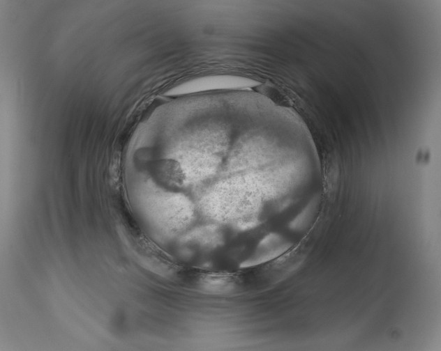 X0000114610175200911171043