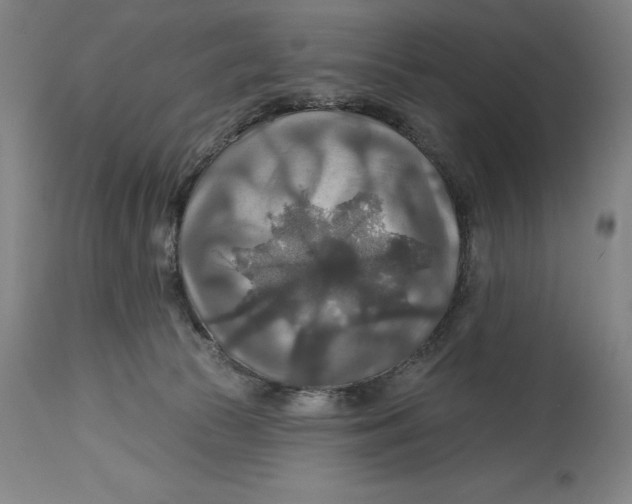 X0000114610177200911171043