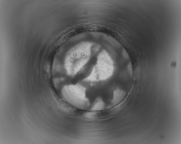 X0000114610178200911171043