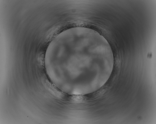 X0000114610181200911171043