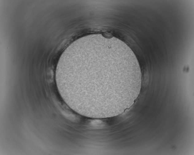 X0000114610183200911171043