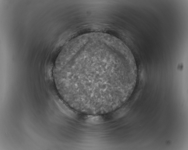 X0000114610185200911171043