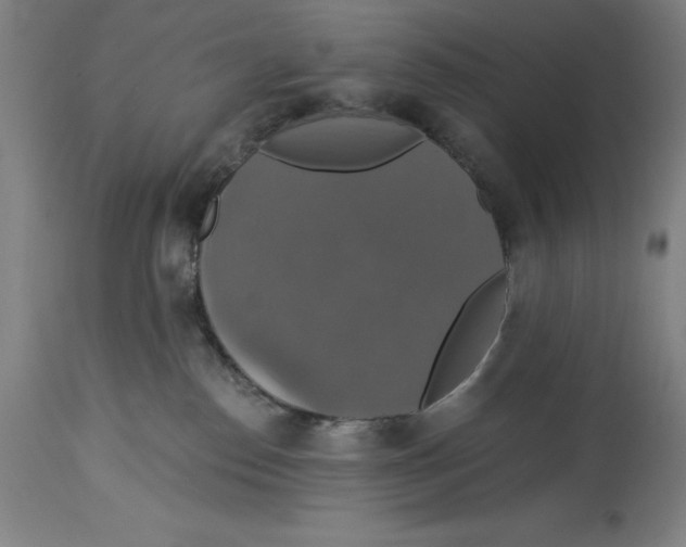 X0000114610186200911171043