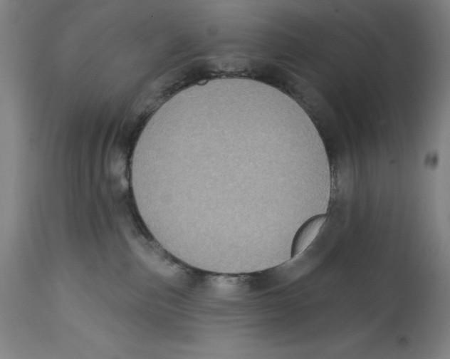 X0000114610187200911171043