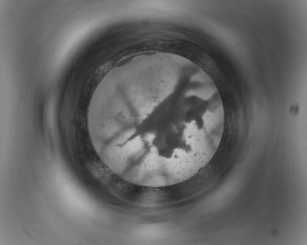 X0000114610189200911171043