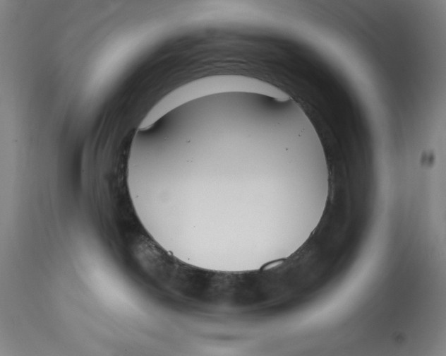 X0000114610190200911171043