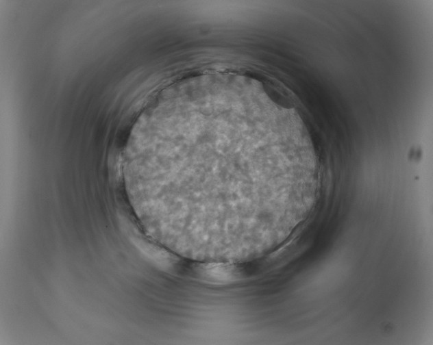 X0000114610191200911171043