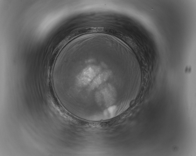 X0000114610194200911171043