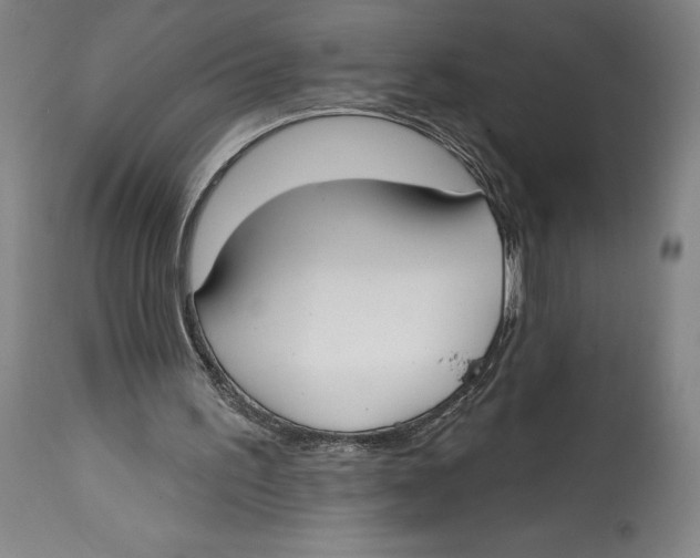 X0000114610195200911171043