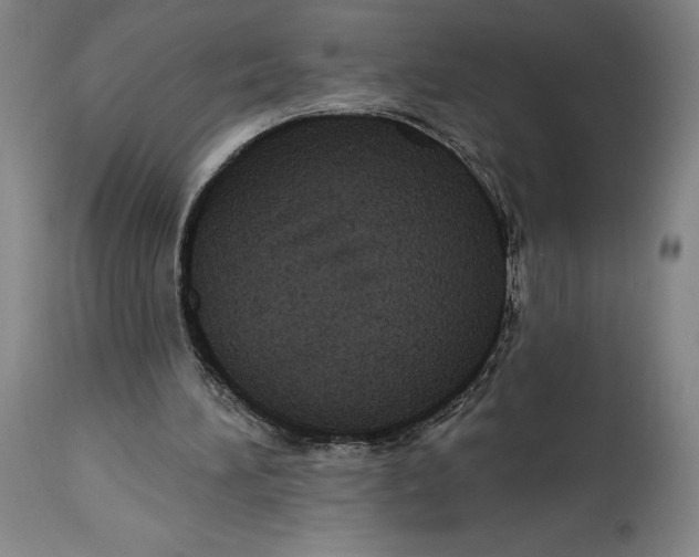 X0000114610196200911171043