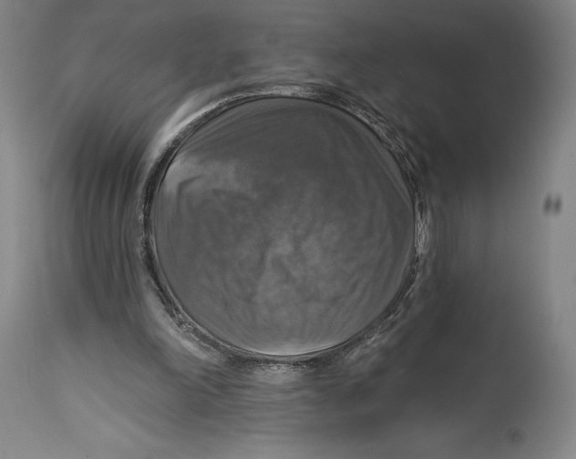 X0000114610198200911171043