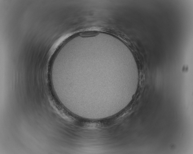 X0000114610200200911171043