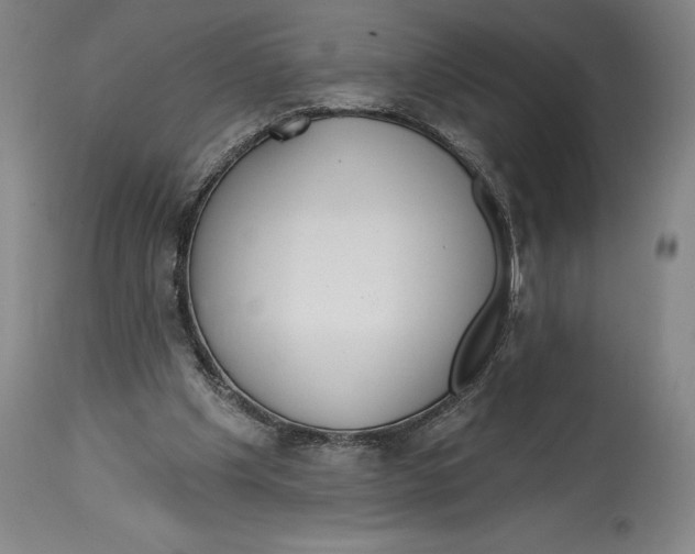 X0000114610201200911171042