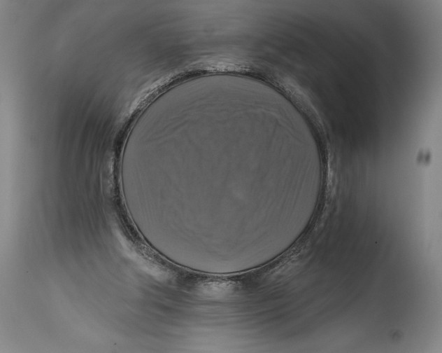 X0000114610202200911171042