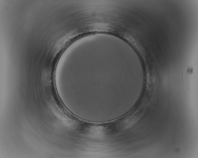 X0000114610203200911171042