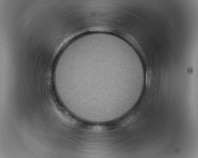 X0000114610204200911171042