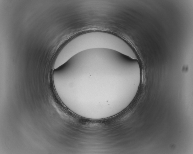 X0000114610205200911171042