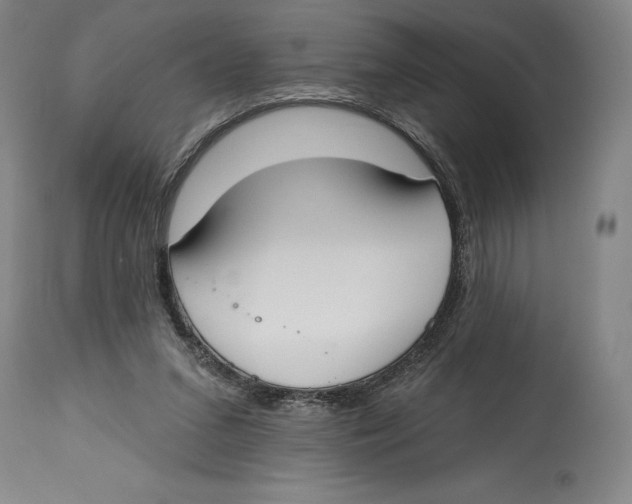 X0000114610207200911171042