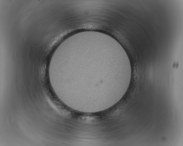 X0000114610208200911171042