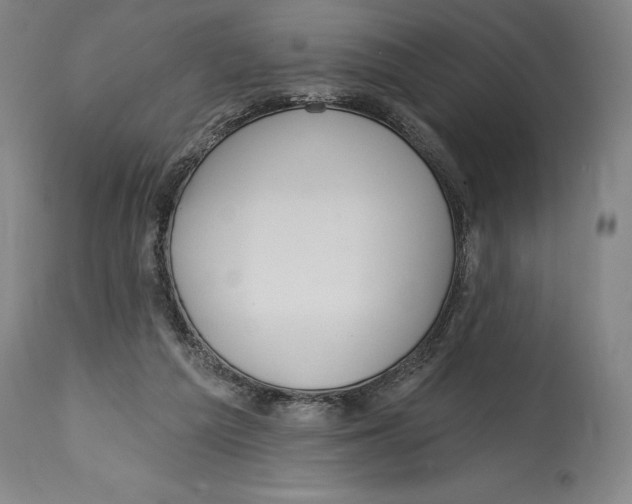 X0000114610209200911171042