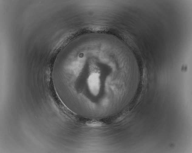 X0000114610210200911171042