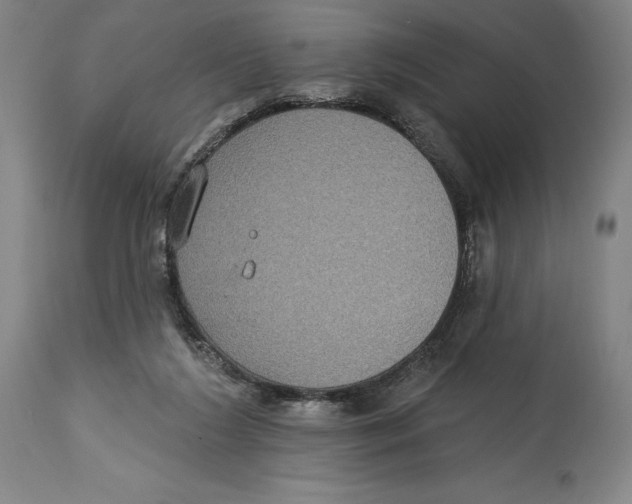 X0000114610212200911171042