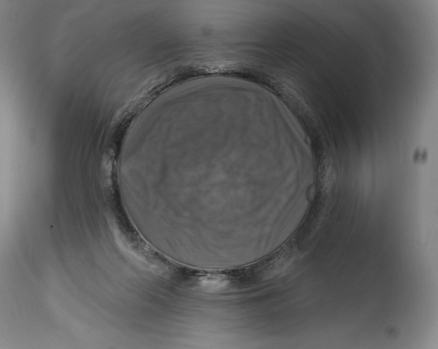 X0000114610214200911171042