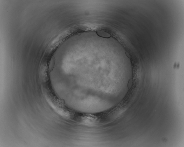 X0000114610215200911171042