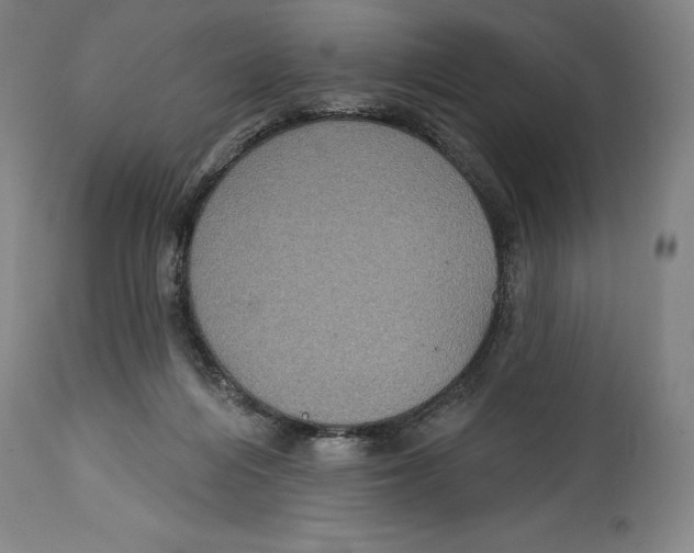 X0000114610216200911171042