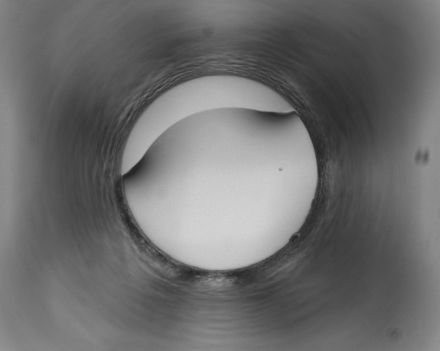 X0000114610217200911171042