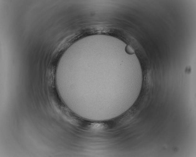 X0000114610218200911171042