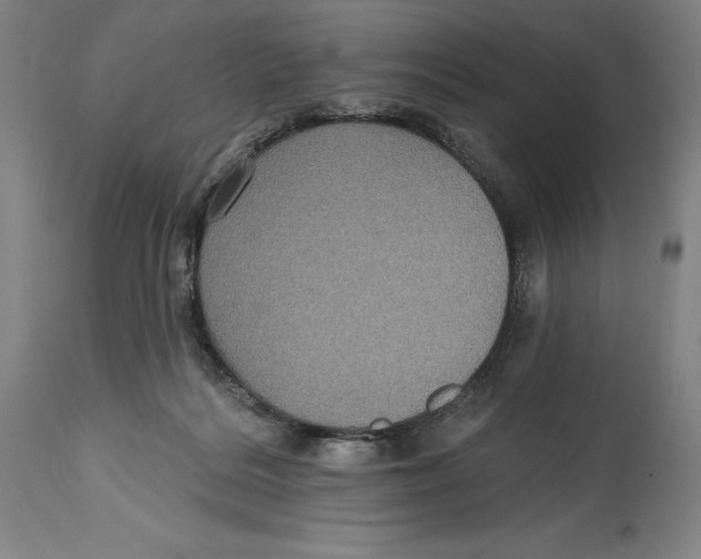 X0000114610220200911171042