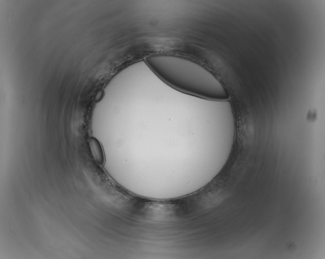 X0000114610221200911171042