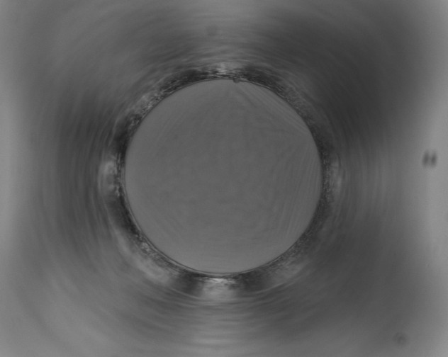 X0000114610222200911171042