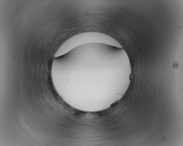 X0000114610223200911171042