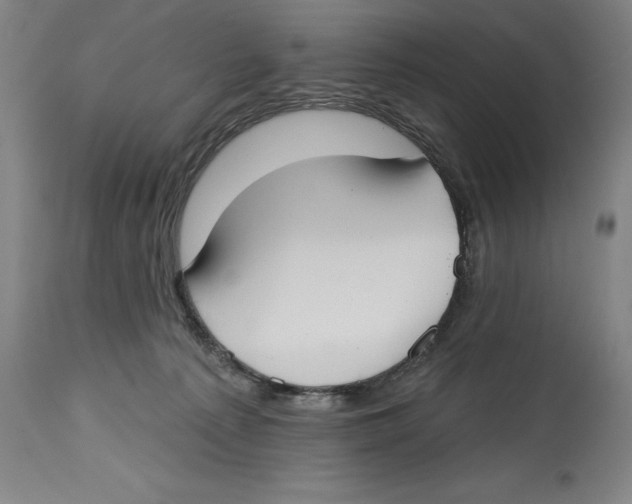 X0000114610225200911171042