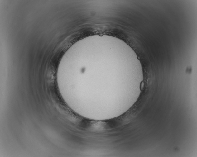 X0000114610226200911171042