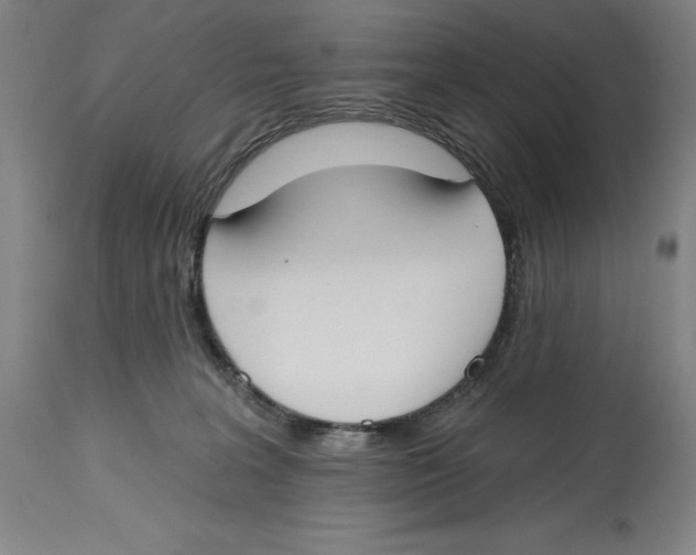 X0000114610227200911171042