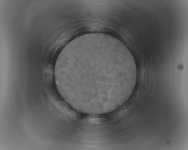 X0000114610228200911171042