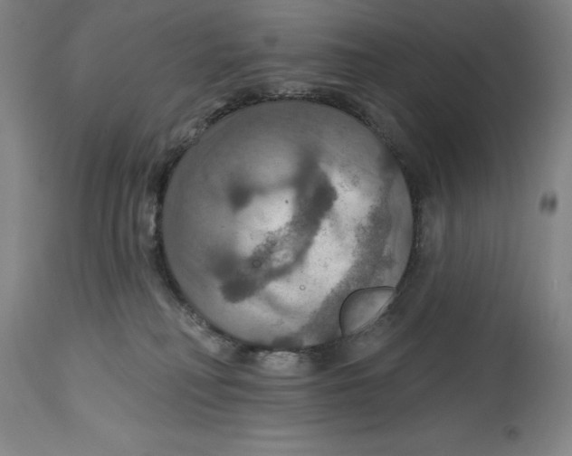 X0000114610230200911171042