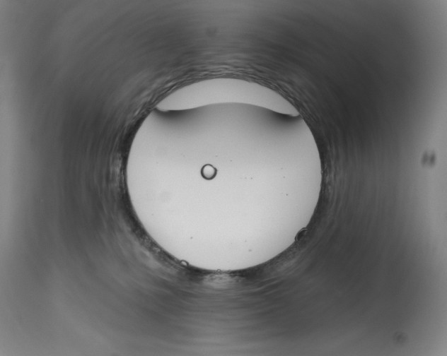 X0000114610231200911171042