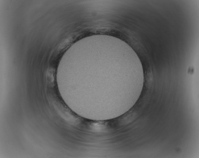 X0000114610232200911171042