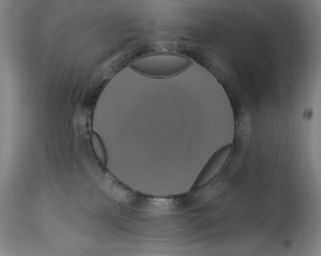 X0000114610233200911171042