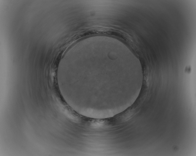 X0000114610235200911171042