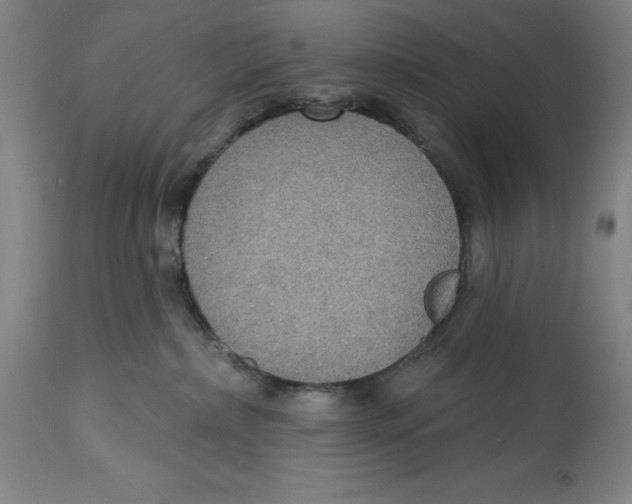 X0000114610236200911171042